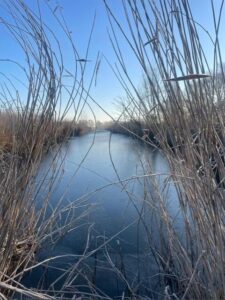 WhatsApp Image 2025-04-17 at 17.48.16 (1)