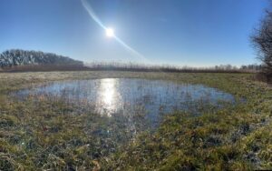 WhatsApp Image 2025-04-17 at 17.48.16 (2)