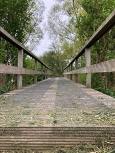 WhatsApp Image 2025-04-17 at 17.48.16