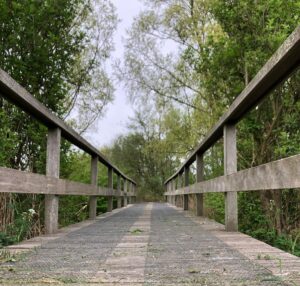 WhatsApp Image 2025-04-17 at 17.48.16