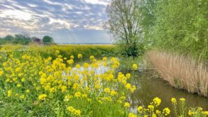 WhatsApp Image 2025-04-24 at 11.09.28 (1)